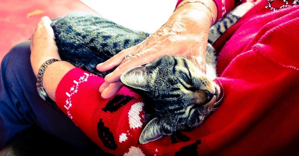 Mujer mayor sosteniendo en brazos a un gato que duerme mientras lo acaricia